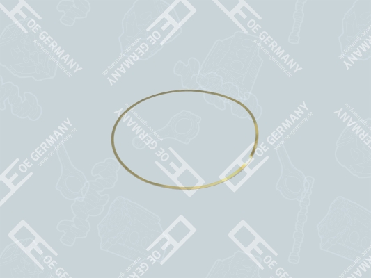 O-Ring, cylinder sleeve - 050111110002 OE Germany - 1114036, 02905123, 1.10603